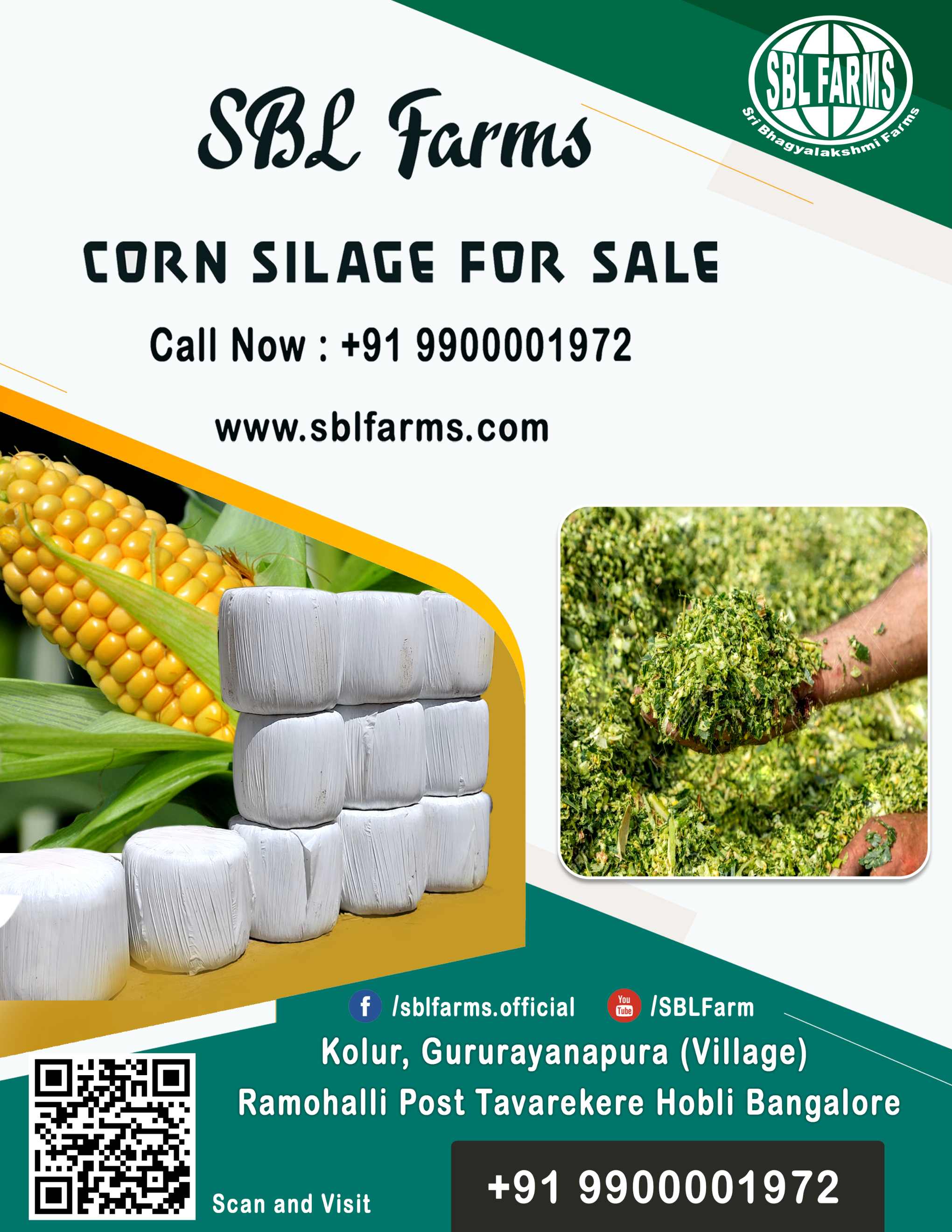Corn Silage Suppliers in Bangalore | Corn Silage for Sale  |  Corn Silage, Baby Corn Silage manufacturers, suppliers & exporters in Bangalore | corn silage for sale in bangalore |  Sri Bhagyalakshmi Farms Corn Silage Bangalore| Silage Balers | Animal Feed Manufacturers | Production of Silage |Cattle feed manufacturers & suppliers - SBL Farms is solving the biggest fodder crisis in India, by supplying Silage bales, Bailing machines to dairy farmers, Cooperatives, Animal Husbandry | Best Cattle Feed Manufacturers & Silage Suppliers in India | Indias Best Baled Silage Producers